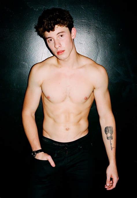 shawn mendes gay sex tape|SHAWN MENDES Nude .